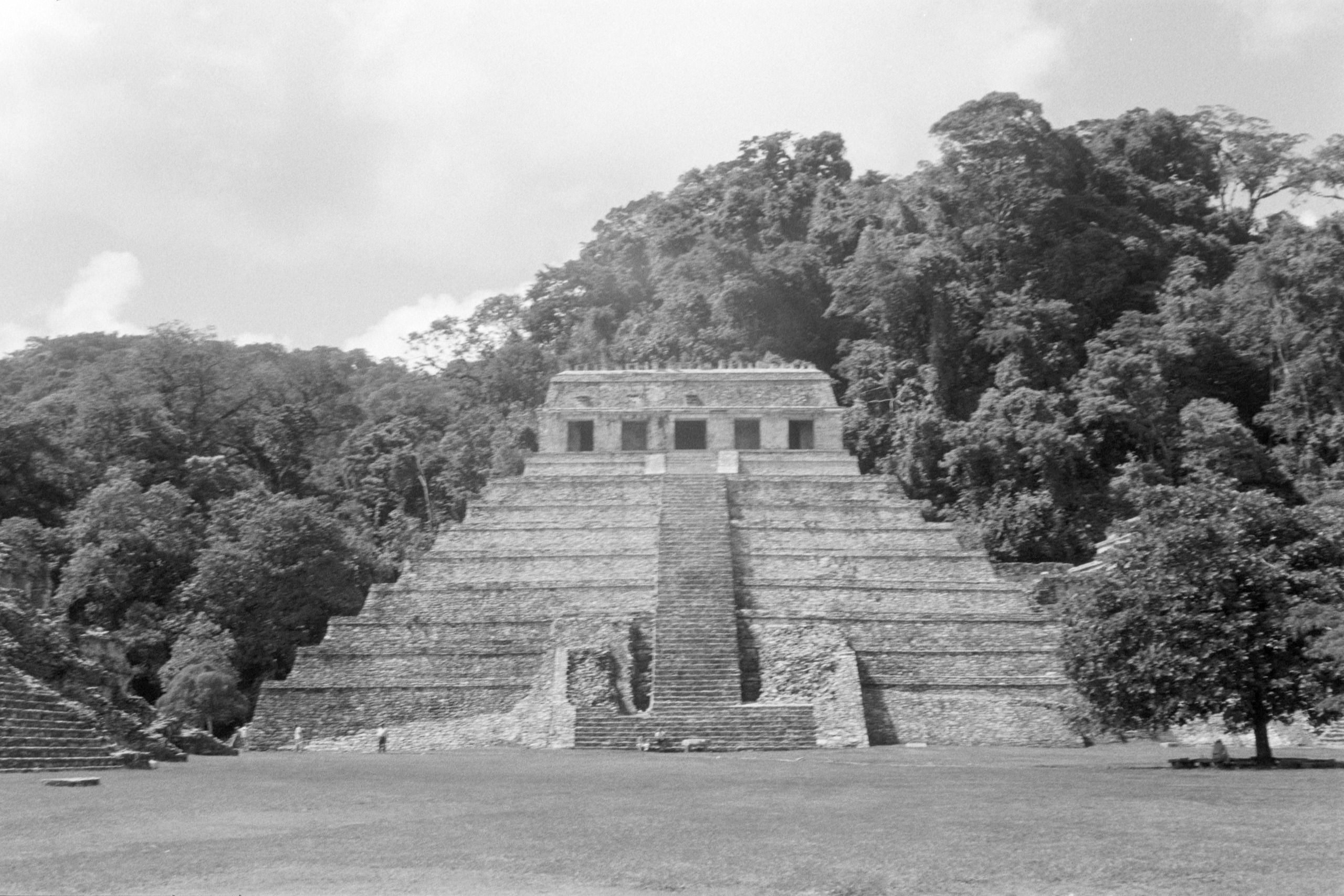 AHP FilmScan 240807 0652